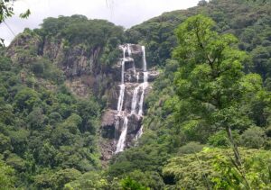 Udzungwa Mountains National Park, Ecological Hotspot