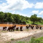 Day Trip Tarangire National Park