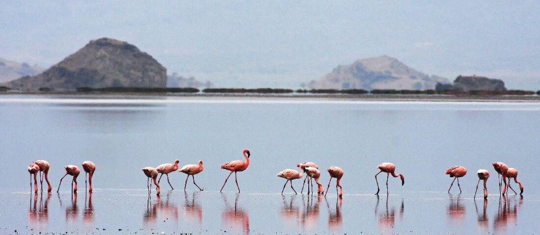 Lake natron, Best lakes to visit in Tanzania
