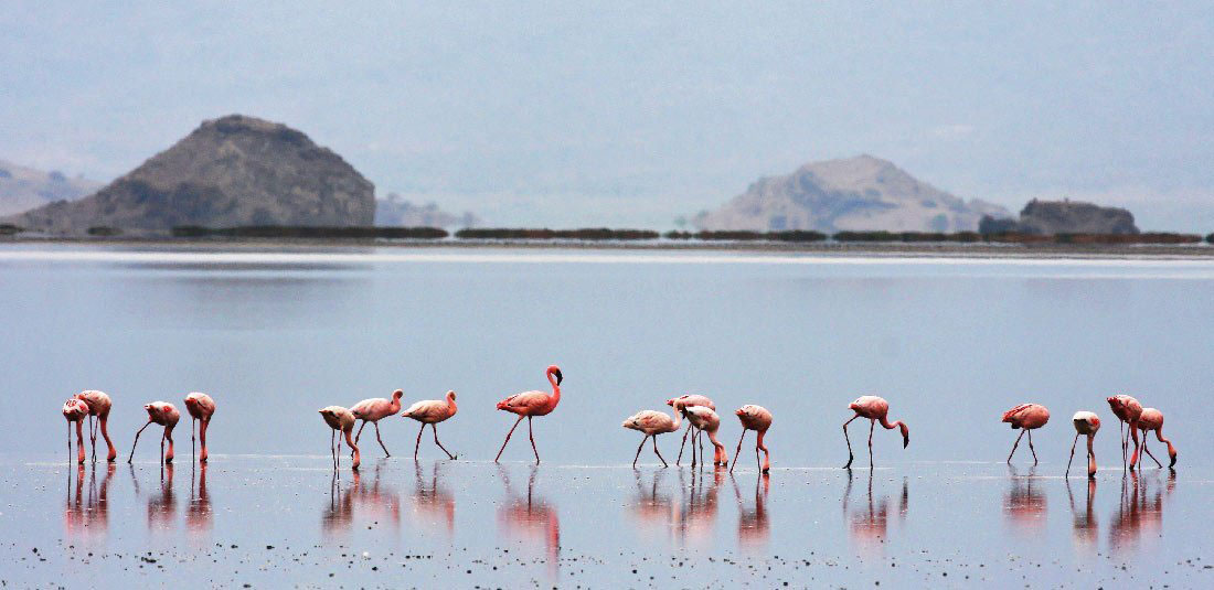 Lake natron, Best lakes to visit in Tanzania