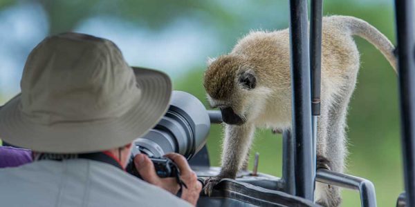 12 Days Tanzania Photographic Safari