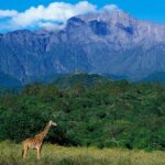 Day Trip Arusha National Park