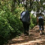 Mount Kilimanjaro Day Hike