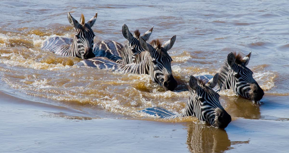 Tanzania-Photographic-Safaris