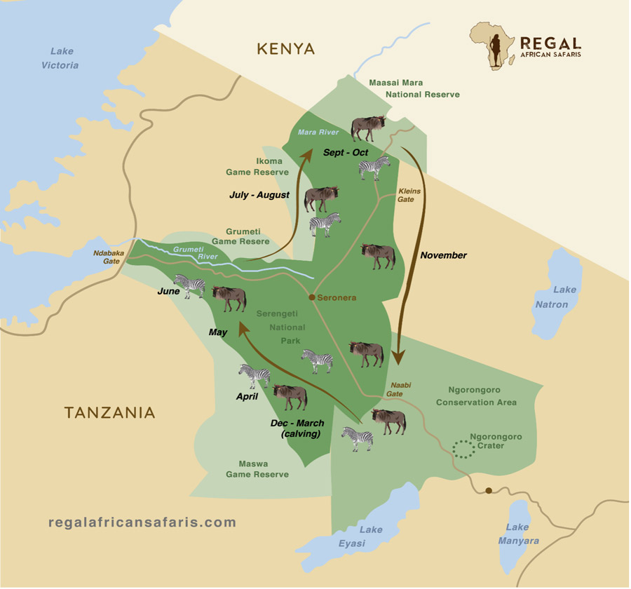 Wildebeest Migration Map